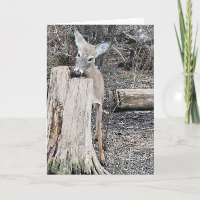 What’s more special than a sweet deer encounter? A Card (Front)