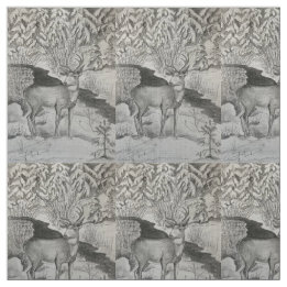 What’s that? fabric