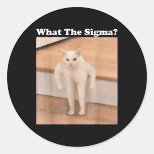 What Sigma Meme Cat Meme Internet Memes Funny Meme Classic Round Sticker