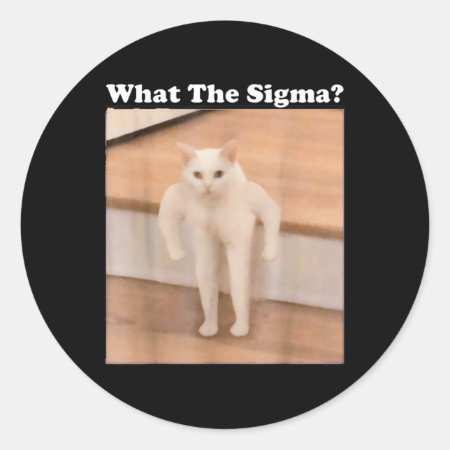 What Sigma Meme Cat Meme Internet Memes Funny Meme Classic Round Sticker (Front)