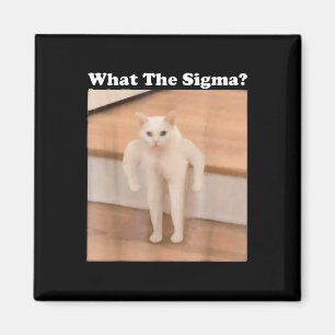 What Sigma Meme Cat Meme Internet Memes Funny Meme Magnet