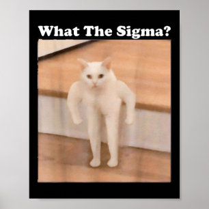 What Sigma Meme Cat Meme Internet Memes Funny Meme Poster