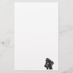 What Stationery