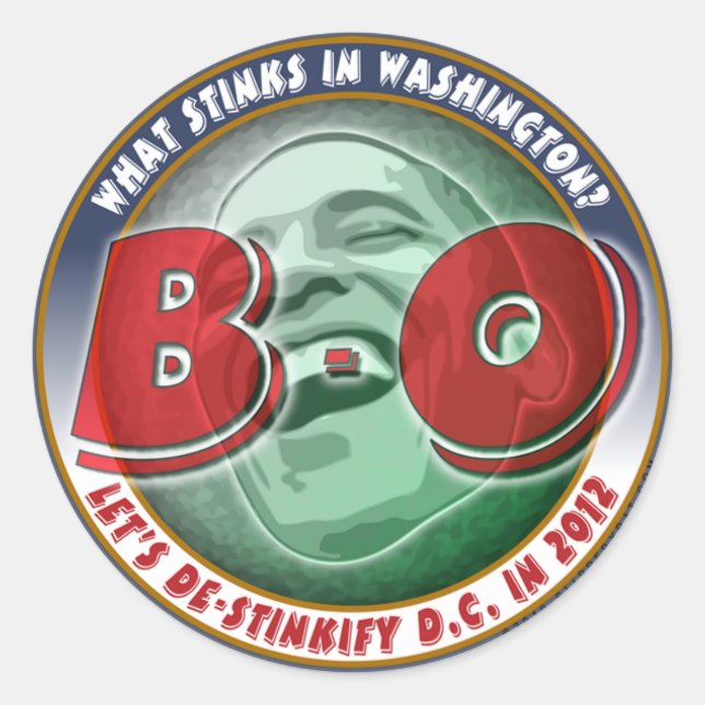 What Stinks in Washington? Classic Round Sticker (Front)