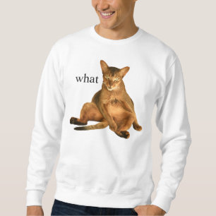 what sweatshirt