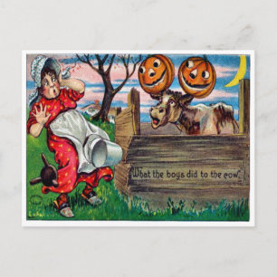 What The Boys Did To The Cows Postcard