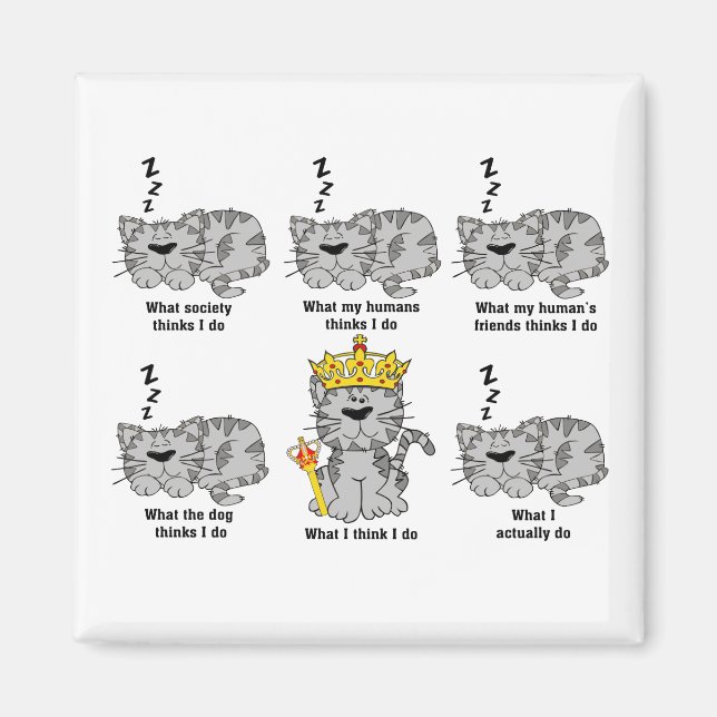 What The Cat Thinks Funny Magnet (Front)