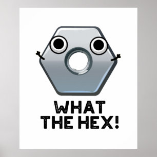 What The Hex Funny Hexagon Shape Pun  Poster