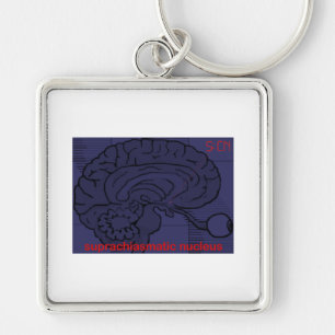What time is it? Ask my SCN Key Ring