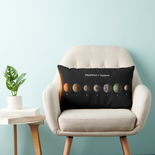 What Trappist-1's Seven Planets Might Look Like. Lumbar Cushion (Chair)