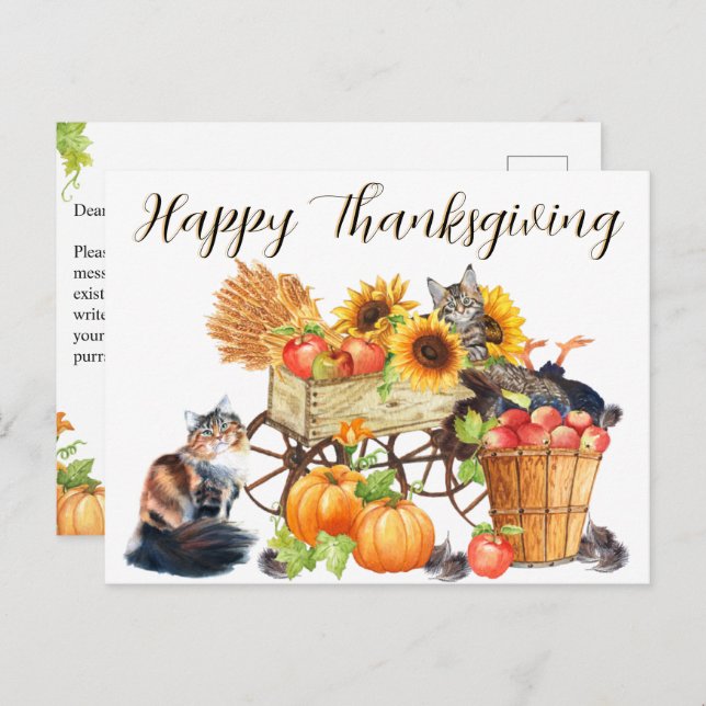 What Turkey?  Innocent Cats, Happy Thanksgiving, P Postcard (Front/Back)
