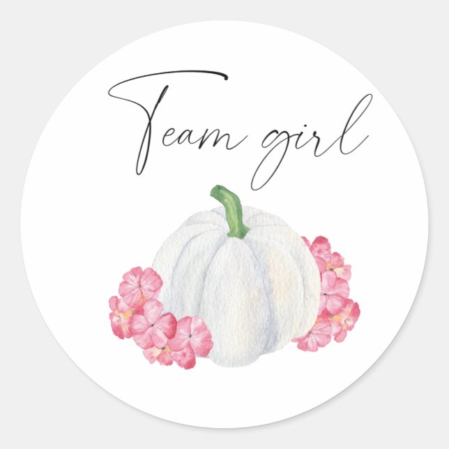 What will baby be team girl pumpkin classic round sticker (Front)