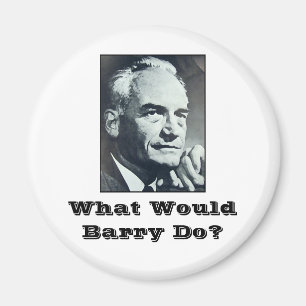 What Would Barry Do? Magnet