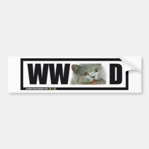 What Would Happy cat Do? Bumper Sticker