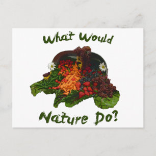 What Would Nature Do Postcard