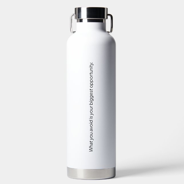 What You Avoid Vacuum Insulated Bottle (Front)