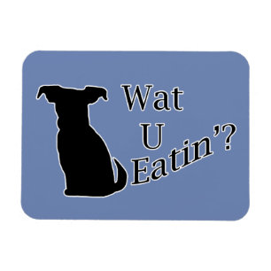 What You Eating Dog Magnet