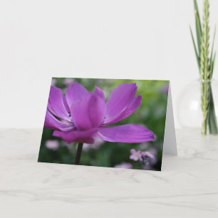 What you hide? Anemone Floral Photography Card