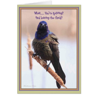 What? You're retiring & leaving the flock?