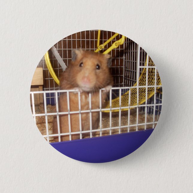 whatca lookin at 6 cm round badge (Front)