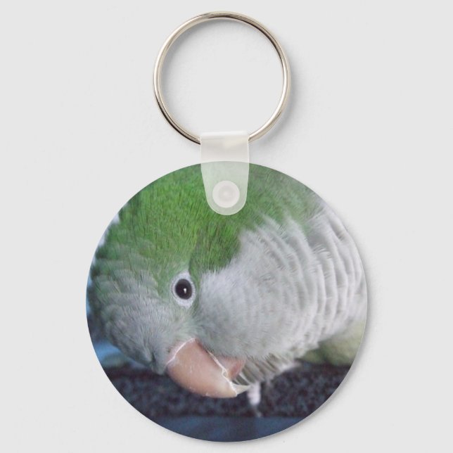 Whatcha Doin'? Quaker Parakeet Key Ring (Front)