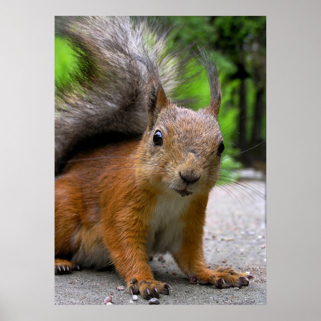 Whatcha Got? Poster (Front)