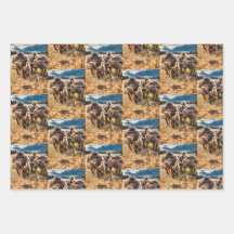 Whatcom county outdoors set