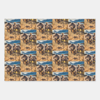 Whatcom county outdoors set wrapping paper sheet