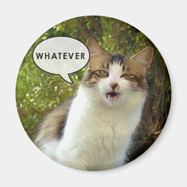 Whatever Magnet 01 (Front)