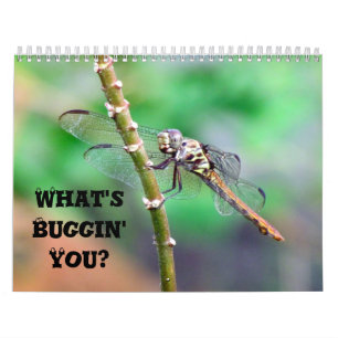 What's Buggin' You - Insect Calendar *Updated 2018