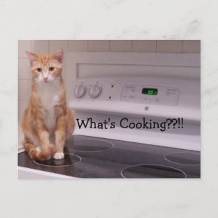 What's Cooking??!! Postcard
