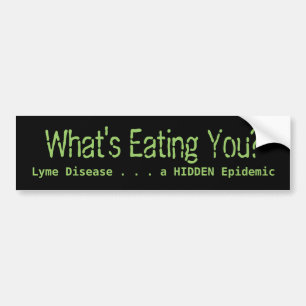 What's Eating You?, Lyme Disease . . . a HIDDEN... Bumper Sticker