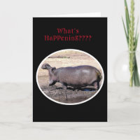 "What's Happening???/HIPPOPOTAMUS ROARING GREETING