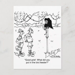 What's in The Bird Feeder? Postcard