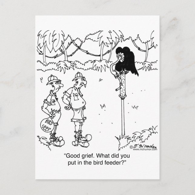 What's in The Bird Feeder? Postcard (Front)