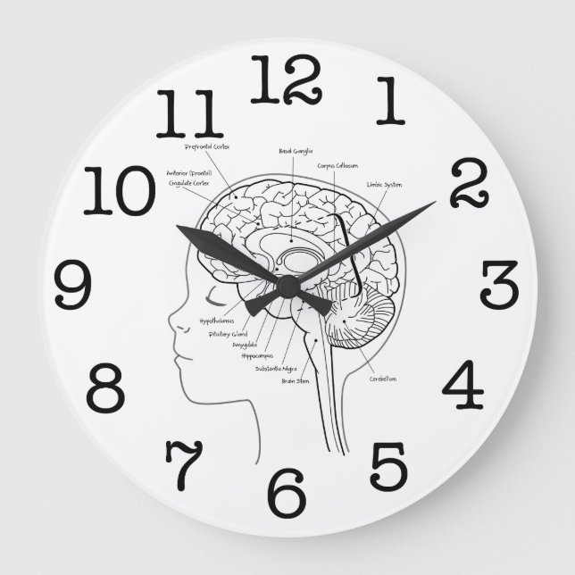 What's in Your Brain Large Clock (Front)