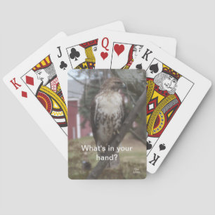 What's in Your Hand Hawk Playing Cards