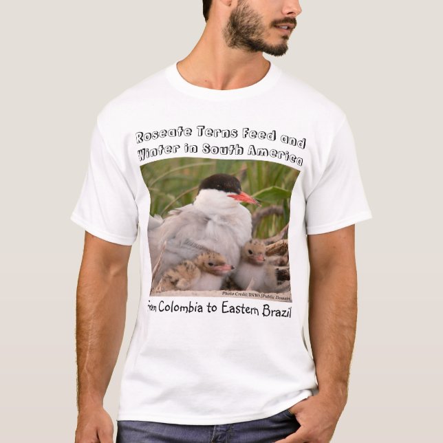 What's Killing Roseate Terns? by RoseWrites T-Shirt (Front)