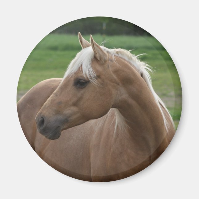 Whats Sizzlin Jac Magnet (Front)