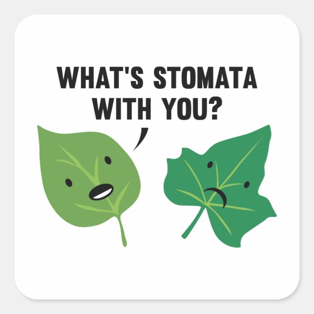 What's Stomata With You? Square Sticker (Front)
