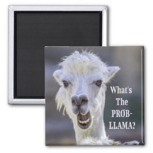 What's The Prob- Llama ? Cute Funny LLAMA Magnet