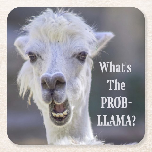 What's The Prob- Llama ? Cute Funny LLAMA Square Paper Coaster (Front)