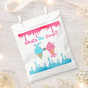  What's the Scoop Ice Cream Gender Reveal  Favour Bags