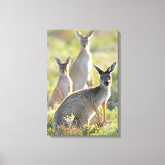 WHAT'S UP! 16x24 Canvas Print