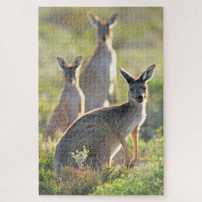 WHAT'S UP! 20x30 INCH Jigsaw Puzzle (Vertical)