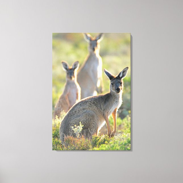 WHAT'S UP! 24x36 Canvas Print (Front)