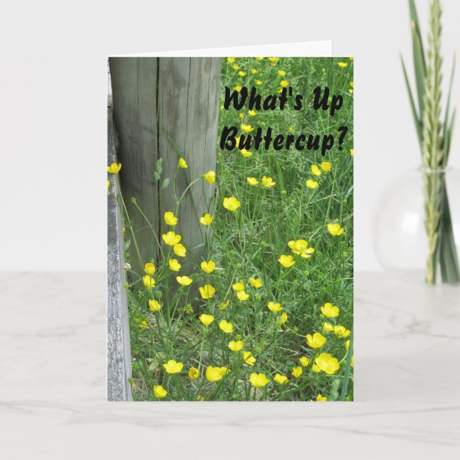 What's Up Buttercup-Been Missin You" Miss You Card (Front)