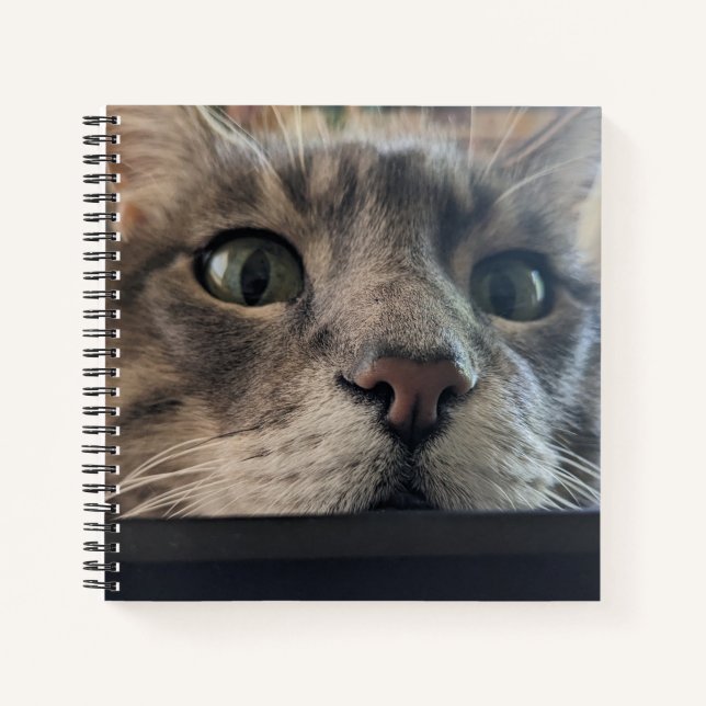 What's up, Cat? Square Spiral Notebook (Front)