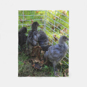 Whats Up - Chicken Butt Fleece Blanket
