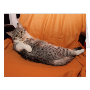 What's Up? Dinner Ready?